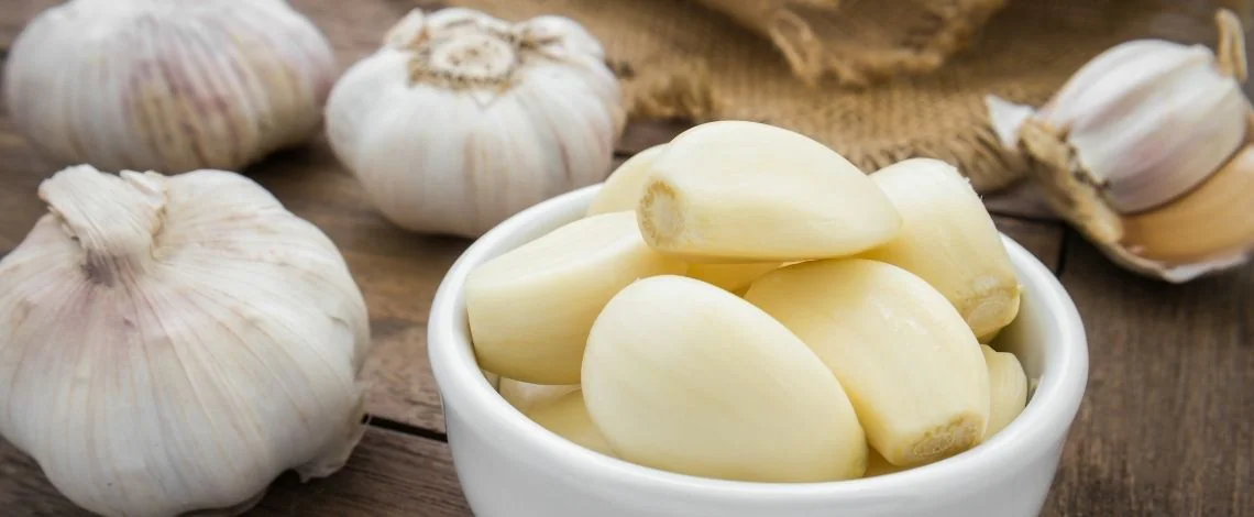 Česen-(Allium sativum)-in-njegova-antiparazitna-moč