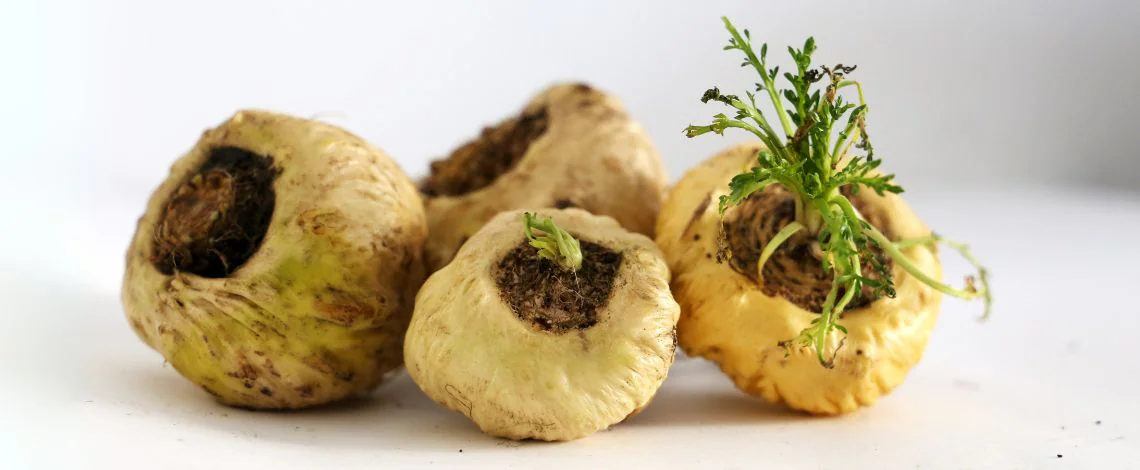 maca-kaj-je-lastnosti