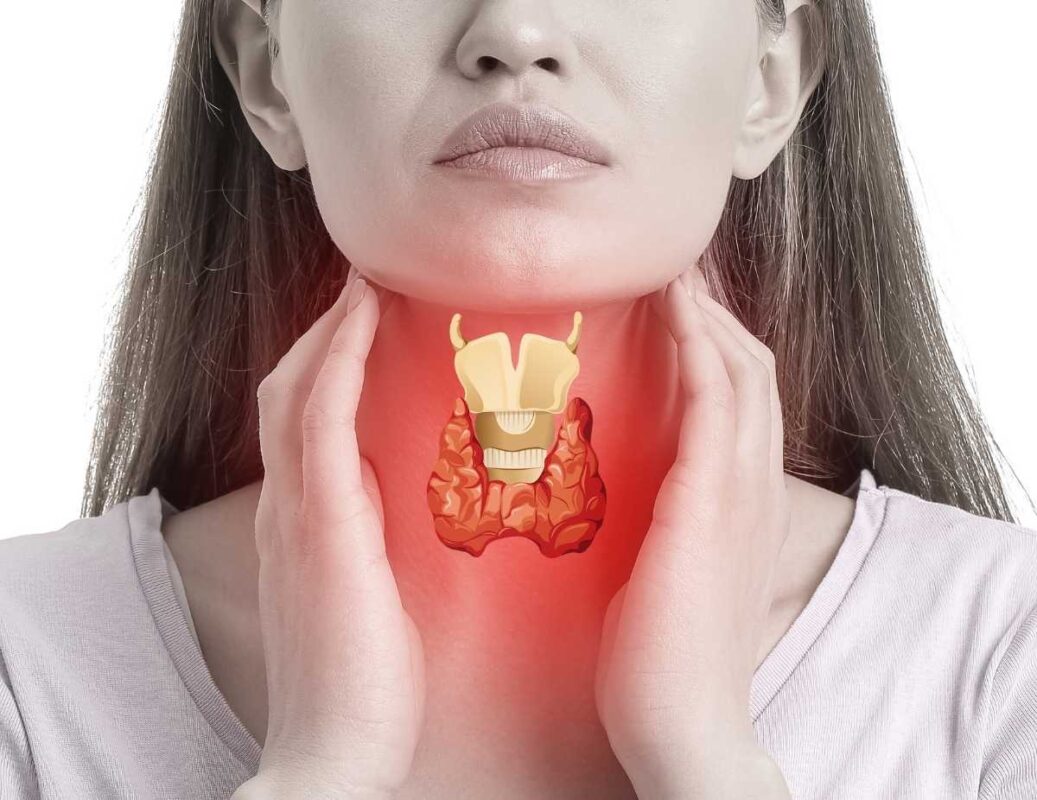scitnica-proizvaja-hormone