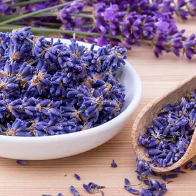 sivka-lavanda-koristi-za-zdravje